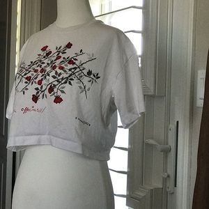 Universal Offerings crop T-shirt